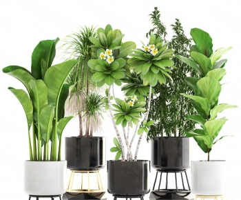 Modern Potted Green Plant-ID:781203771