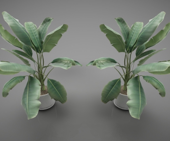 Modern Potted Green Plant-ID:341507634