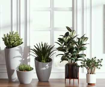 Modern Potted Green Plant-ID:425293237