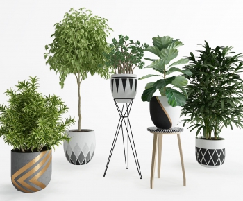 Modern Potted Green Plant-ID:613348651