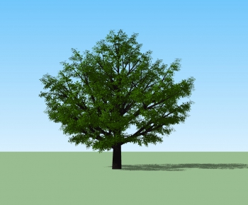 Modern Tree-ID:879445295