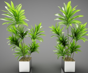 Modern Potted Green Plant-ID:792392516