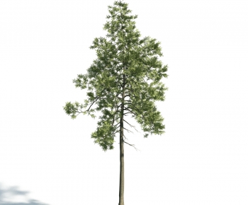 Modern Tree-ID:674078696