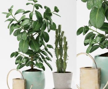 Modern Potted Green Plant-ID:229369331