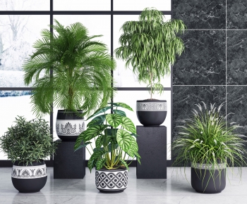 Modern Potted Green Plant-ID:278203133