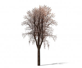 Modern Tree-ID:944665488