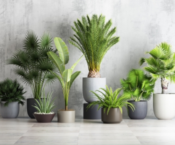 Modern Potted Green Plant-ID:999784153