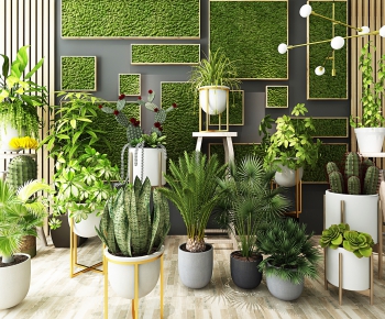 Modern Potted Green Plant-ID:278816152
