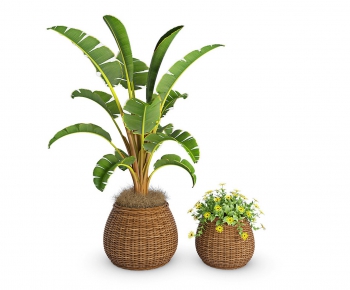 Modern Potted Green Plant-ID:740538376