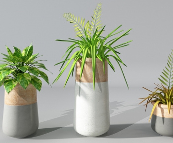 Modern Potted Green Plant-ID:571246574