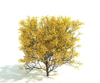 Modern Tree-ID:611654641