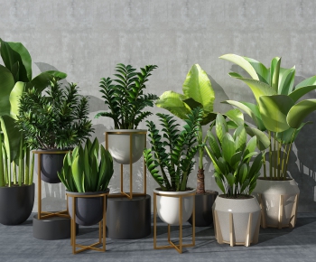 Modern Potted Green Plant-ID:772455887