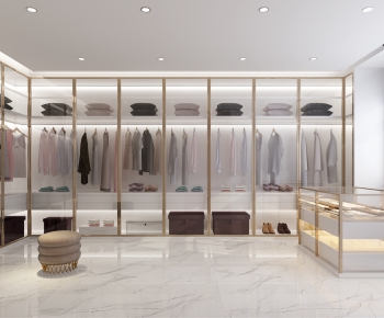 Modern Clothes Storage Area-ID:542918845