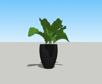Modern Potted Green Plant-ID:430386398