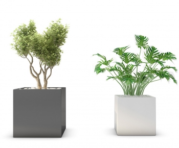 Modern Potted Green Plant-ID:871248425