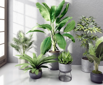 Modern Potted Green Plant-ID:706270354
