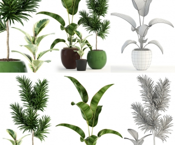 Modern Potted Green Plant-ID:183937582