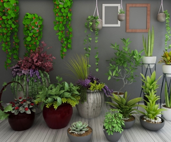 Modern Potted Green Plant-ID:978233177