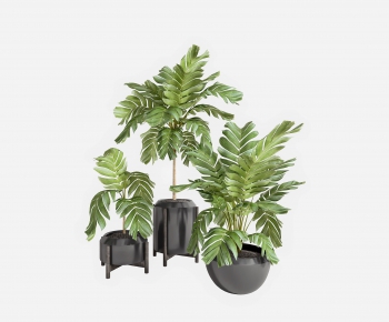 Modern Potted Green Plant-ID:639755795