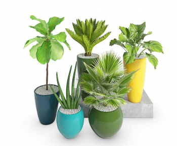 Modern Potted Green Plant-ID:722457432