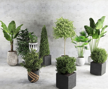 Modern Potted Green Plant-ID:969098743