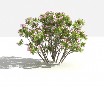 Modern Shrubbery-ID:980262594