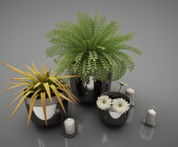 Modern Potted Green Plant-ID:212689986