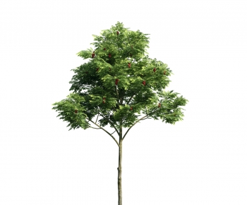 Modern Tree-ID:890338253