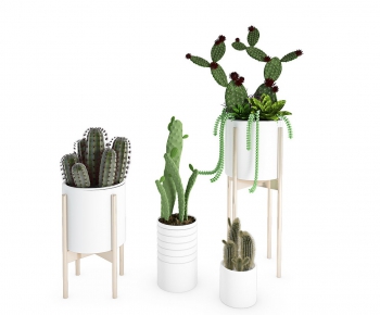 Modern Potted Green Plant-ID:801284949