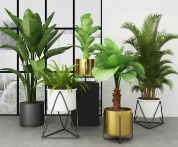 Modern Potted Green Plant-ID:912694187