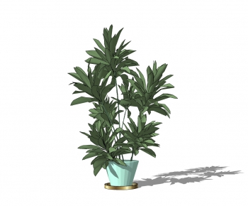 Modern Potted Green Plant-ID:245379551