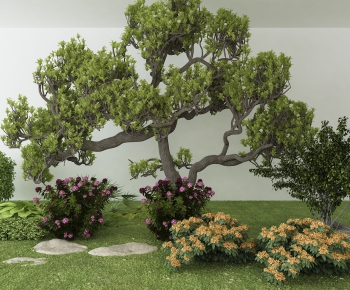 Modern Tree/shrub/grass-ID:736455569