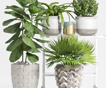 Modern Potted Green Plant-ID:155545716