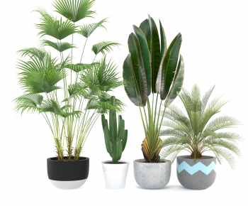 Modern Potted Green Plant-ID:211128123