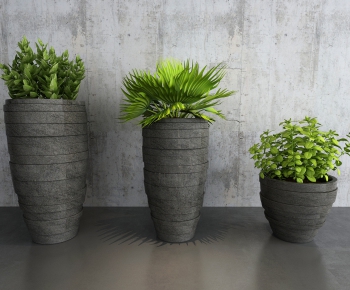 Modern Potted Green Plant-ID:307310373