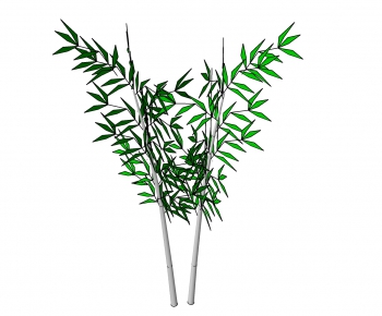 Modern Bamboo-ID:485522512