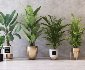 Modern Potted Green Plant-ID:692574115