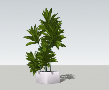 Modern Potted Green Plant-ID:925816934