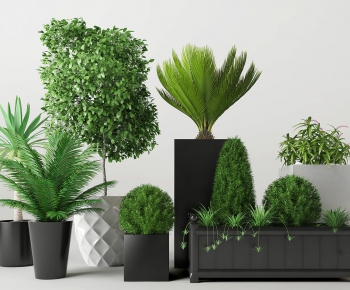 Modern Potted Green Plant-ID:703400443