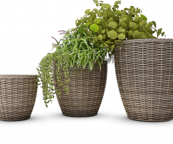 Modern Potted Green Plant-ID:552604485