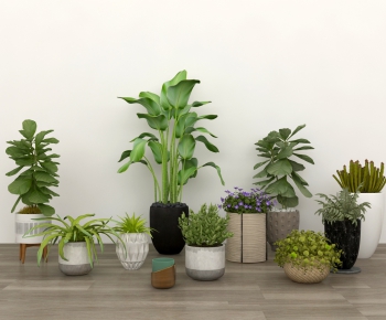 Modern Potted Green Plant-ID:707231527
