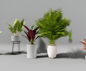 Modern Potted Green Plant-ID:808024116