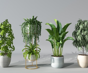 Modern Potted Green Plant-ID:660275544