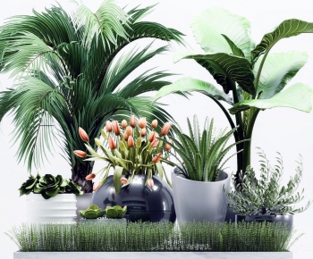 Modern Potted Green Plant-ID:990364425