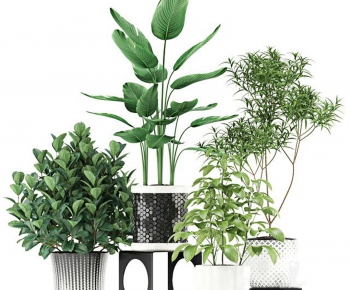 Modern Nordic Style Potted Green Plant-ID:428241576