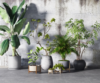 Modern Potted Green Plant-ID:673186936