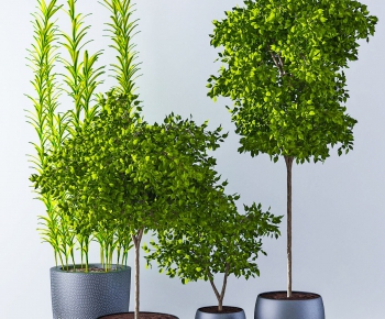 Modern Potted Green Plant-ID:237434188