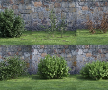 Modern Shrubbery-ID:750281676