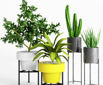 Modern Potted Green Plant-ID:843745627