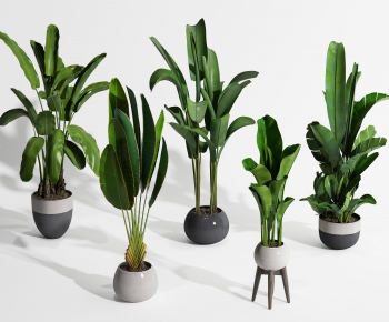 Modern Potted Green Plant-ID:793192323